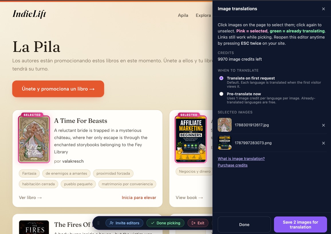 The image translations panel with two selected book covers, the credit balance, and translation timing options